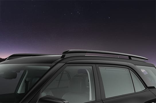 Bridge type roof rails (Black)