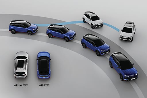 Electronic Stability Control & VSM