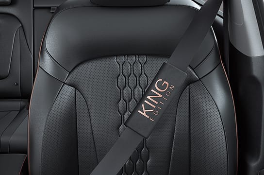 King Limited Seat Belt Cover