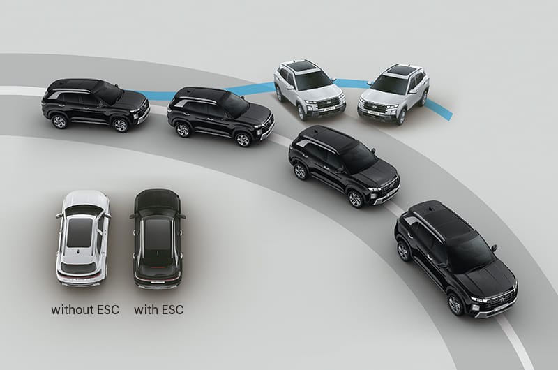 Electronic Stability Control & VSM