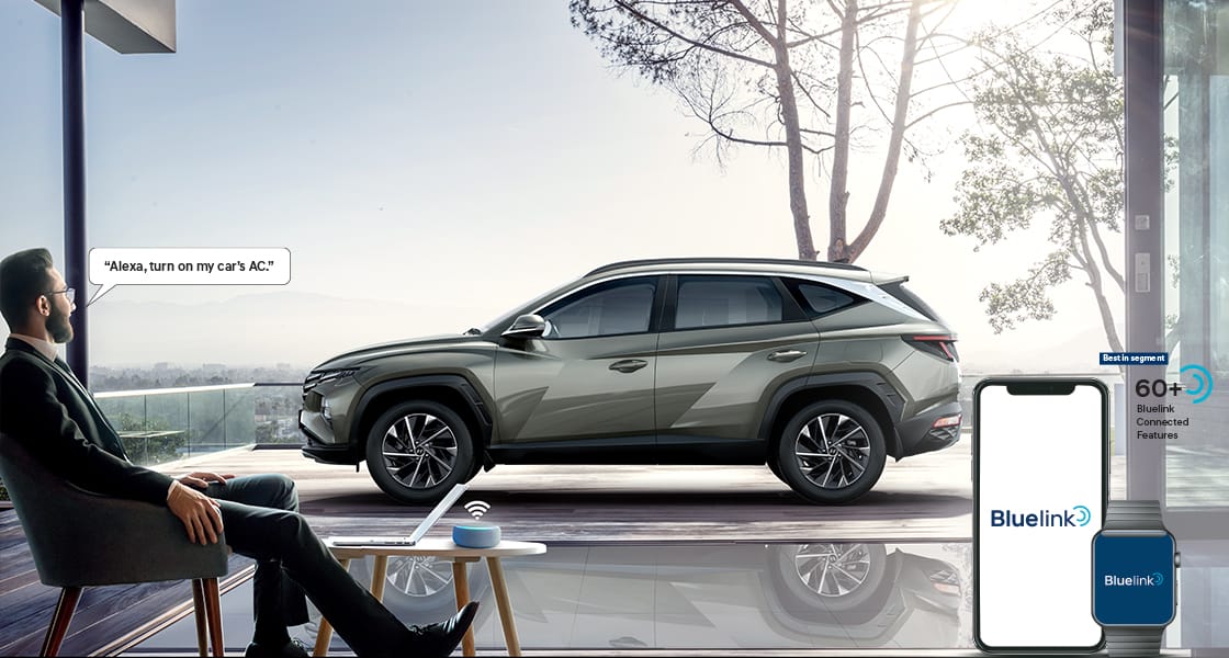 60+ Bluelink connected features