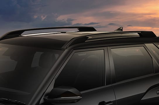 Black painted bridge type roof rails
